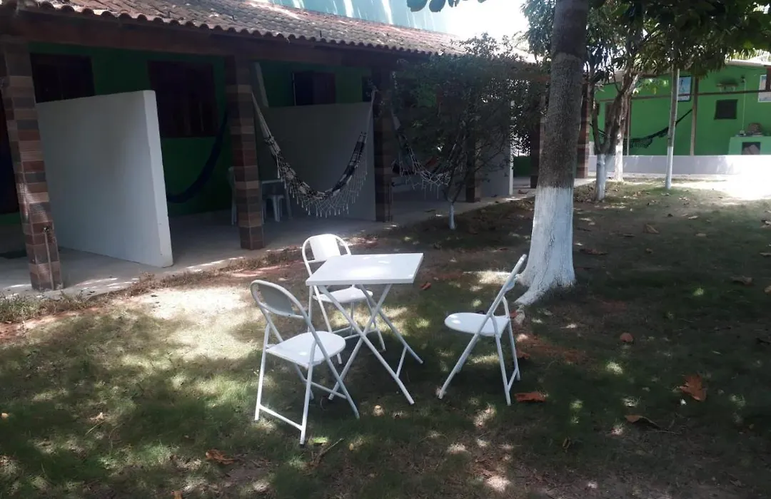 Beladora Kitinets Top-1