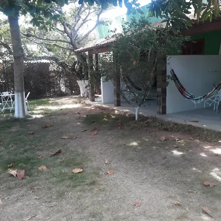 Beladora Kitinets Top-2